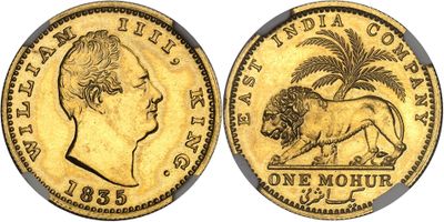 a gold sovereign coin with a lion and palm tree on it
