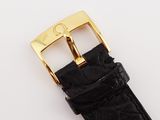 an image of a watch strap with a gold buckle on a white surface