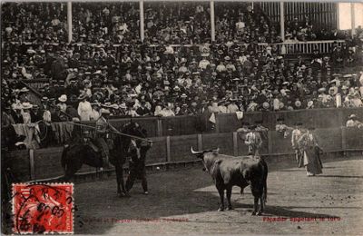 photo en noir et blanc d'un taureau et d'un homme dans une arène