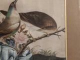 a picture of two birds sitting on a branch of a tree