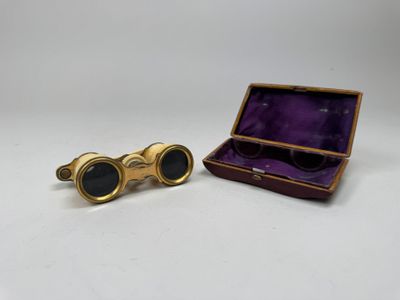 a pair of gold plated binoculars in a purple case
