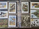 a lot of cards that are in a binder