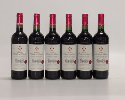 six bouteilles de vin rouge alignées sur une surface blanche