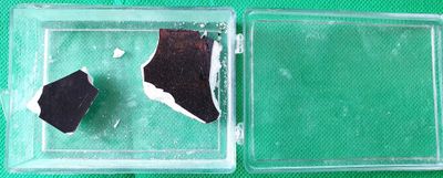 deux morceaux de chocolat dans un récipient en plastique posé sur une surface verte