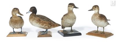 three ducks are standing on wooden bases on a white surface