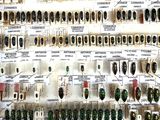 many different types of beetles displayed on the wall