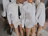 Plusieurs mannequins vêtus de chemises blanches et de cravates se tiennent devant un tableau noir