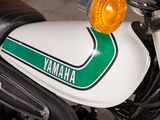 a close up of a motorcycle with a green and white stripe