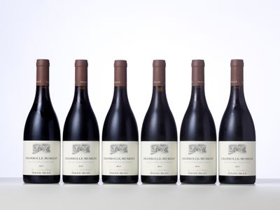 six bouteilles de vin rouge alignées