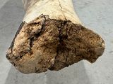 a large piece of wood that is sitting on the floor