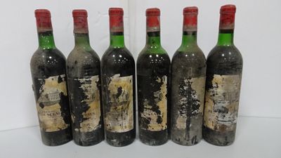 6 Bts Château Pedesclaux. Pauillac.