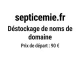 Photo 1/1 du lot