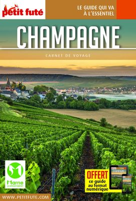 the cover of the book champagnee, with a vineyard in the background