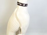 un chien blanc avec un collier, assis sur une surface blanche