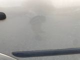 a close up of a car door handle and the door handle of the car