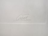a close up of a piece of paper with a signature on it