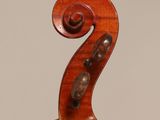 a close up of the back of a violin