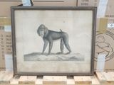a picture of a monkey that is standing on a pallet