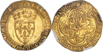 two gold coins, one with a shield and the other with a shield on it
