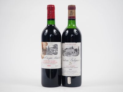deux bouteilles de vin rouge posées l'une à côté de l'autre sur une surface blanche
