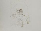 drawing of a cat laying down on the ground in the grass