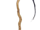 un oiseau perché sur une branche d'arbre