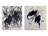 deux peintures en noir et blanc représentant des oiseaux sur fond blanc