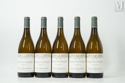 six bouteilles de vin sont alignées sur une surface blanche