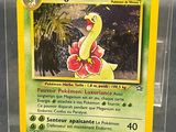 a pokemon card on display in a plastic case