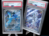 deux cartes Pokémon exposées dans un étui en plastique