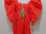 an image of a red blouse with a green leaf on it
