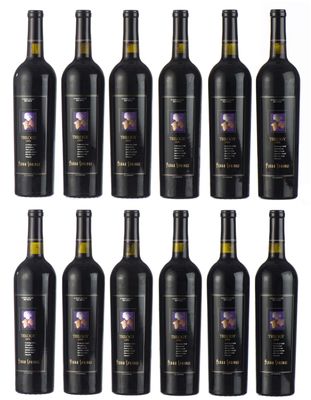 un groupe de bouteilles de vin alignées les unes à côté des autres