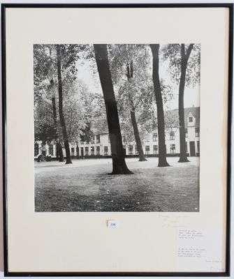 photographie en noir et blanc d'un arbre dans un parc, avec un bâtiment en arrière-plan
