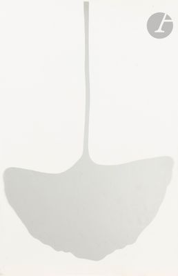 shadows of a ginko leaf on a wall in a bathroom