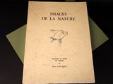 two books with drawings of birds on them sitting on top of each other