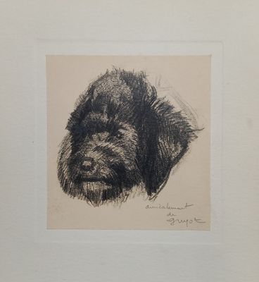 drawing of a black and white drawing of a dog ' s face