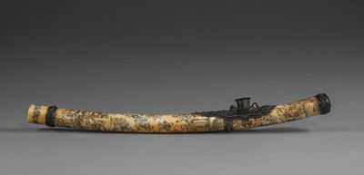 an image of a long horn shaped object on a gray surface