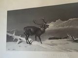 painting of a deer in a snowy landscape in a gold frame