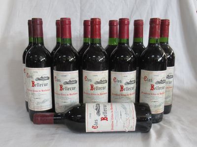 des bouteilles de vin rouge alignées sur un fond blanc