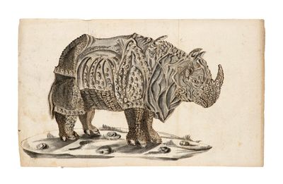 un vieux dessin représentant un rhinocéros debout au milieu d'un champ