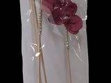 a package of toothpicks in the shape of a dragon