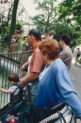many people that are looking at a giraffe through a fence