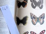 un livre ouvert à une page sur laquelle figure une image de papillons