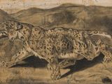 an image of a drawing of a snow leopard running in the wild