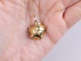 a person holding a gold necklace with a star on it