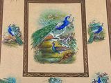a picture of a picture of birds on the wall