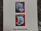 les reves arrienes etude contementir french edition