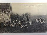 a black and white photo of a group of dogs in a field