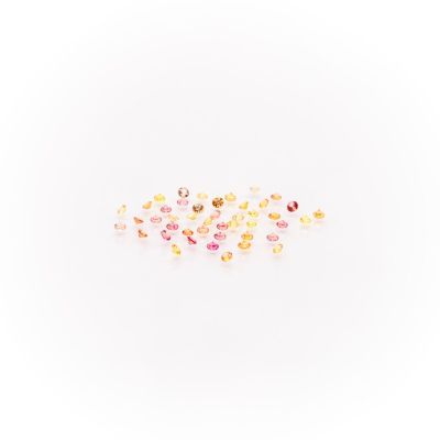 swarovsk swarovsk swarovsk swarovsk swarovsk swarovsk swarovsk swarovsk