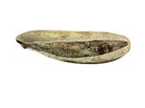 an image of a stone bowl on a white background